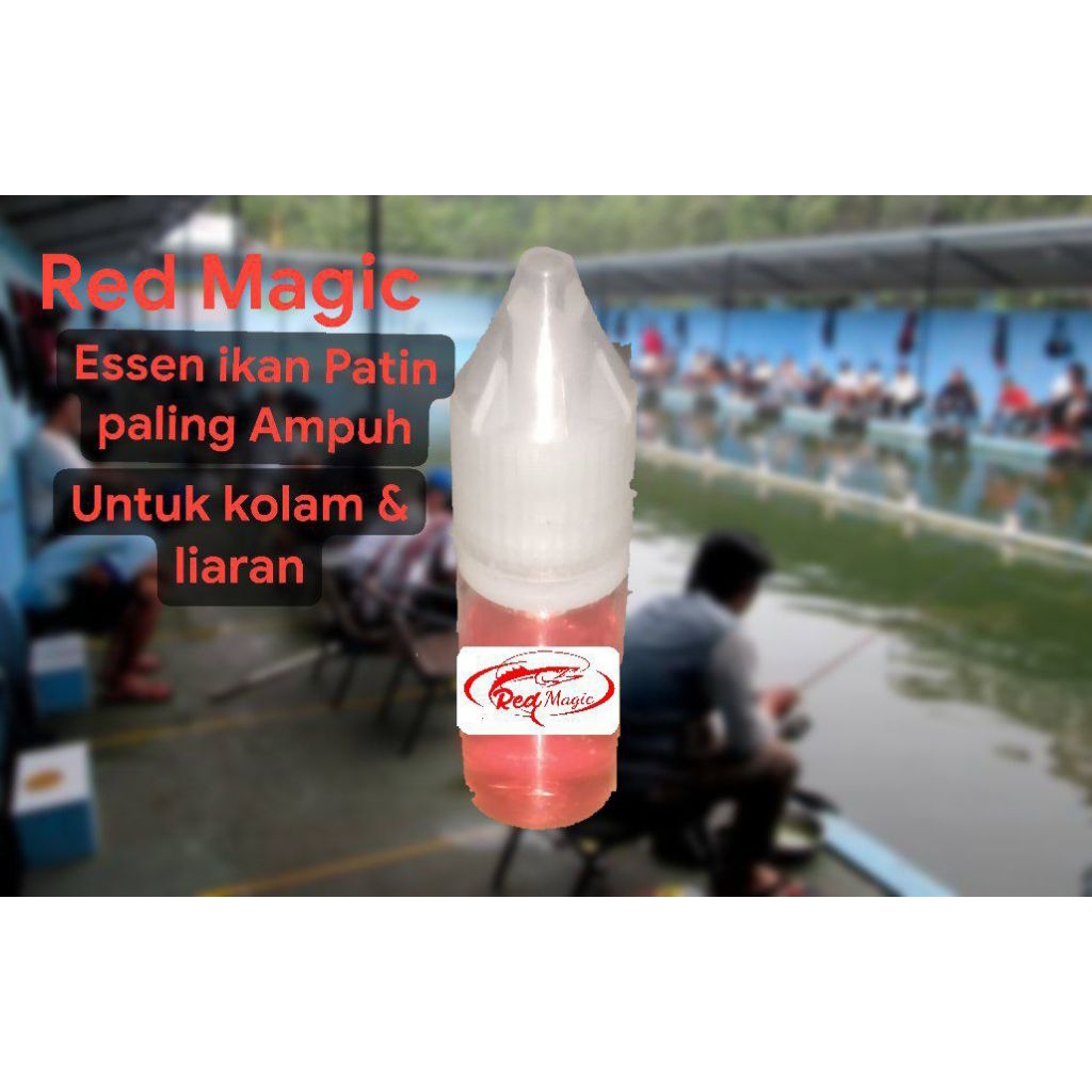 Essen Spesial Ikan Patin Paling Ampuh & Gacor