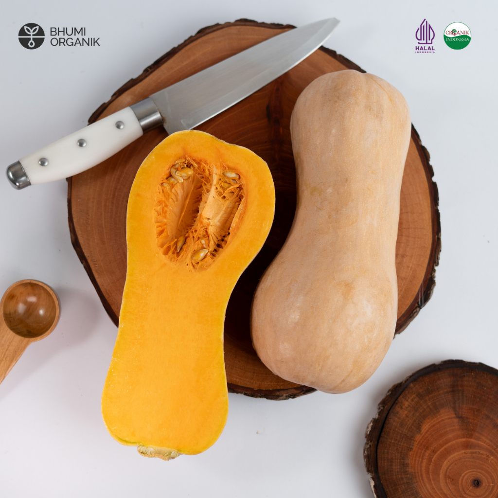 

Labu Butternut Organik - Ceritanik / Bhumi Organik - Butternut Organic - Sayur Organik Murah - Sayur Organik Sehat - Sayur Organik Premium