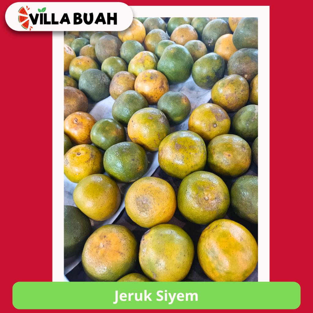

Jeruk Siyem (500-550 gr)
