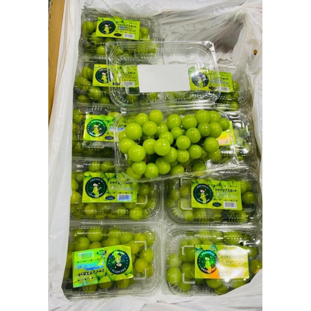 

Anggur Shine muscat 500gr