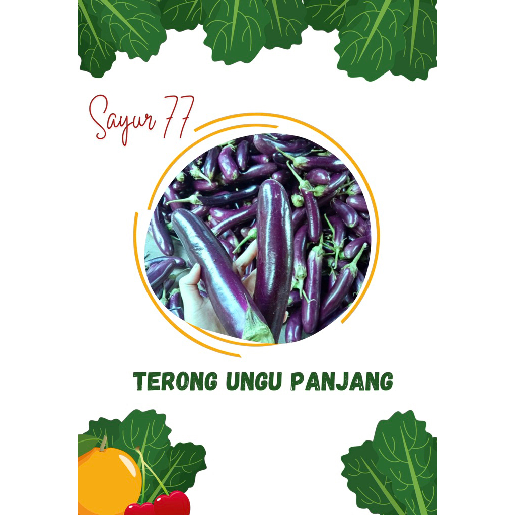 

Terong Ungu Panjang