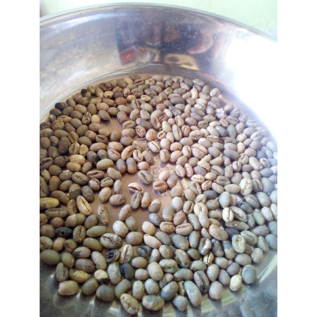 

Kopi Muane Kalosi / Kopi jantan / kopi lanang