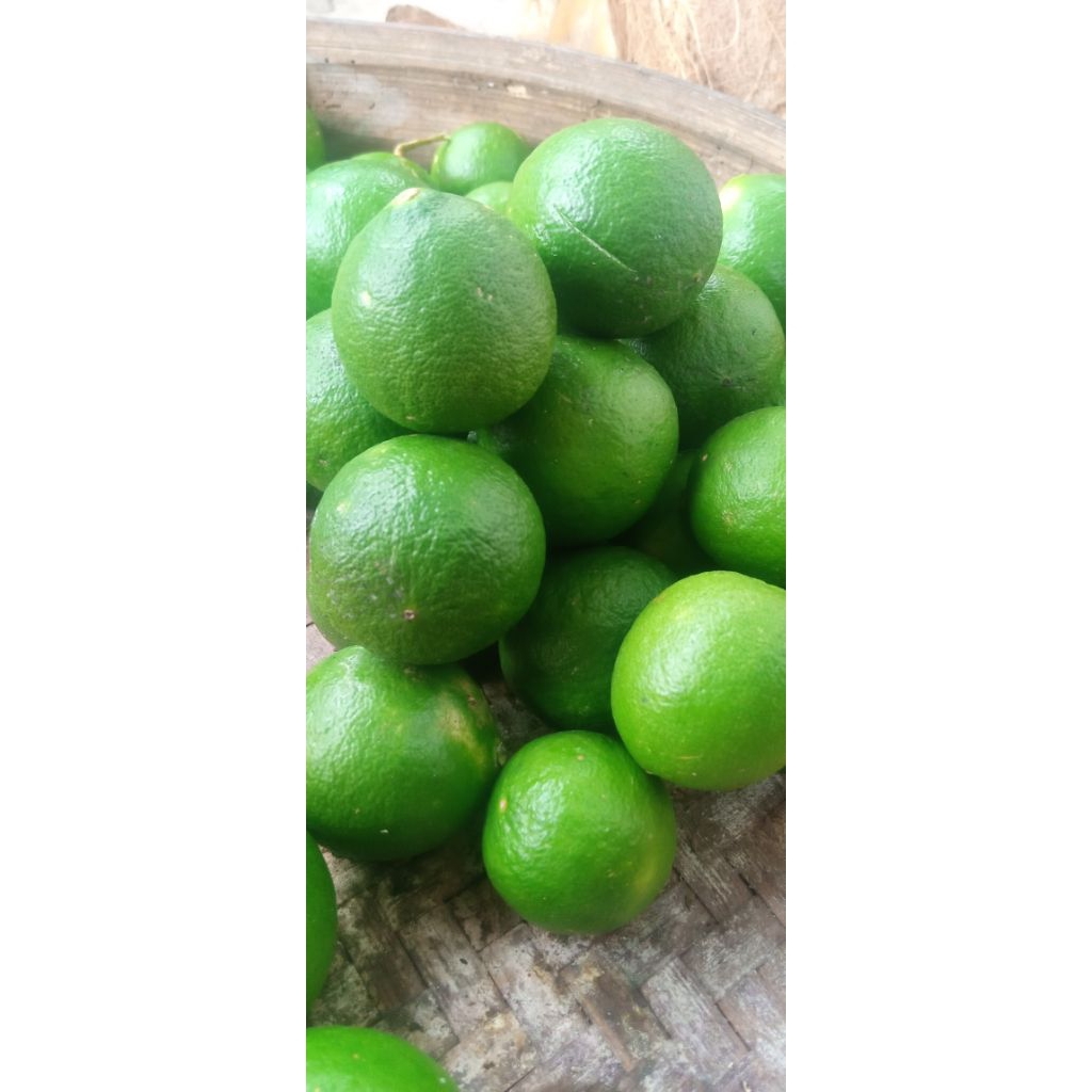 

JERUK NIPIS ASLI BLITAR 200 gram /2 ons