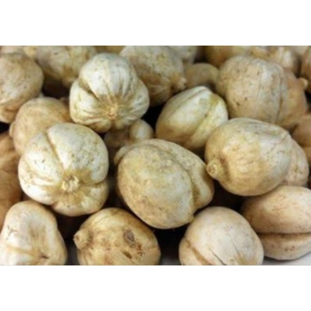 

Kapulaga 100 Gram Pilihan Hemat