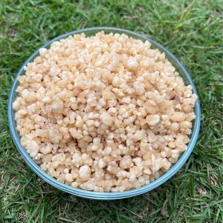 

Oyek Singkong 1Kg Asli Kebumen - Beras Tiwul Oyek Singkong Pulen Tanpa Pengawet - Nasi Oyek Mentah Terlaris oleh - oleh Khas Kebumen Kekinian