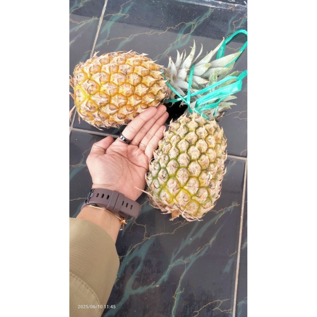 

nanas madu jumbo berat 700-800 gram