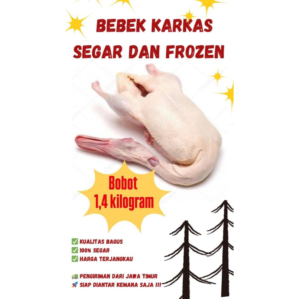 

BEBEK KARKAS, BEBEK HIBRIDA MUDA BOBOT 1,4KG. FREE HATI, DAN AMPELA