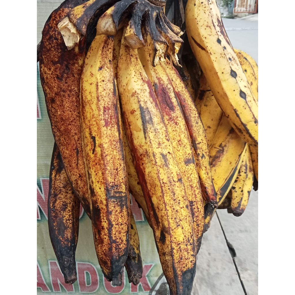 

pisang tanduk Sukabumi jual perbiji