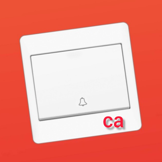 BOSS B2031L BPRA 1 gang bell press large switch w/ bell symbol