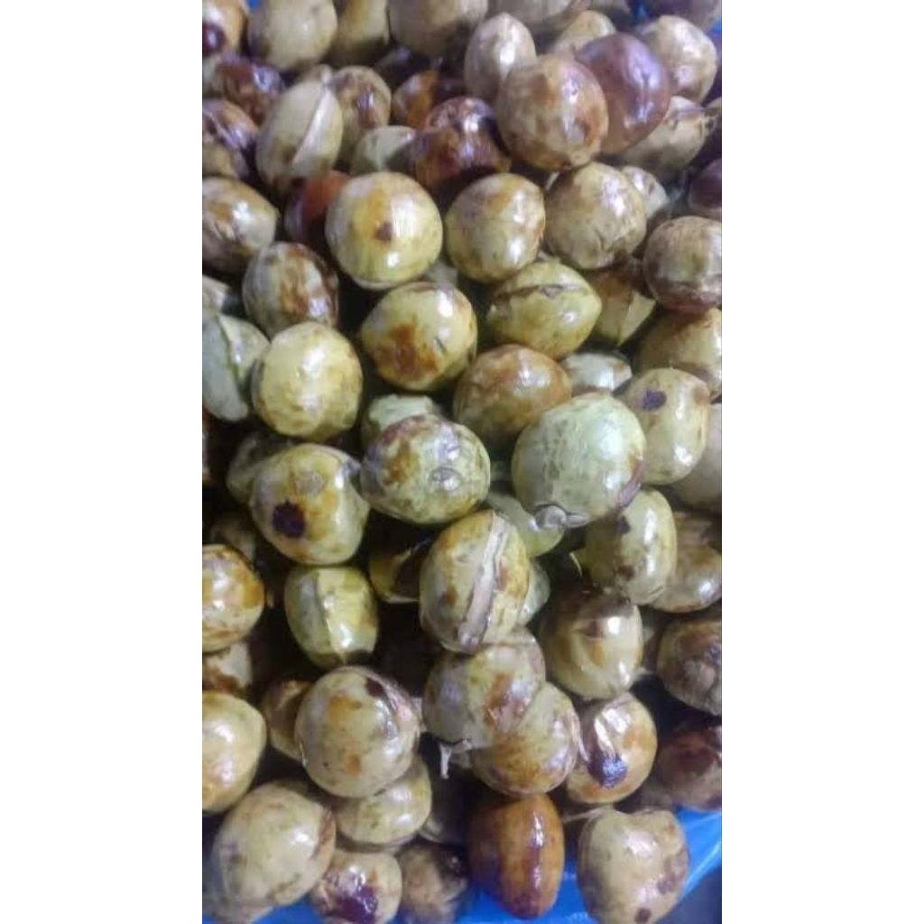 

Jengkol Beras per 10pcs