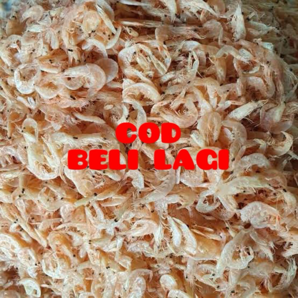 

rebon 500gram segar fresh