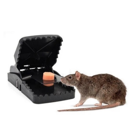 Perangkap Tikus Jebakan Tikus Jepit Otomatis Mouse Trap / jebakan tikus