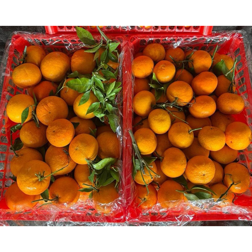 

Buah buahan (instant only)