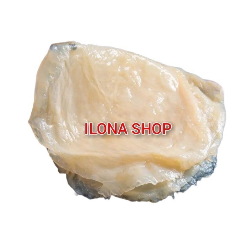 

UBUR UBUR UTUH 500GR / UBUR UBUR MENTAH 500GR / JELLYFISH UBUR-UBUR 500 GR BAHAN CHUKA KURAGE, SALAD