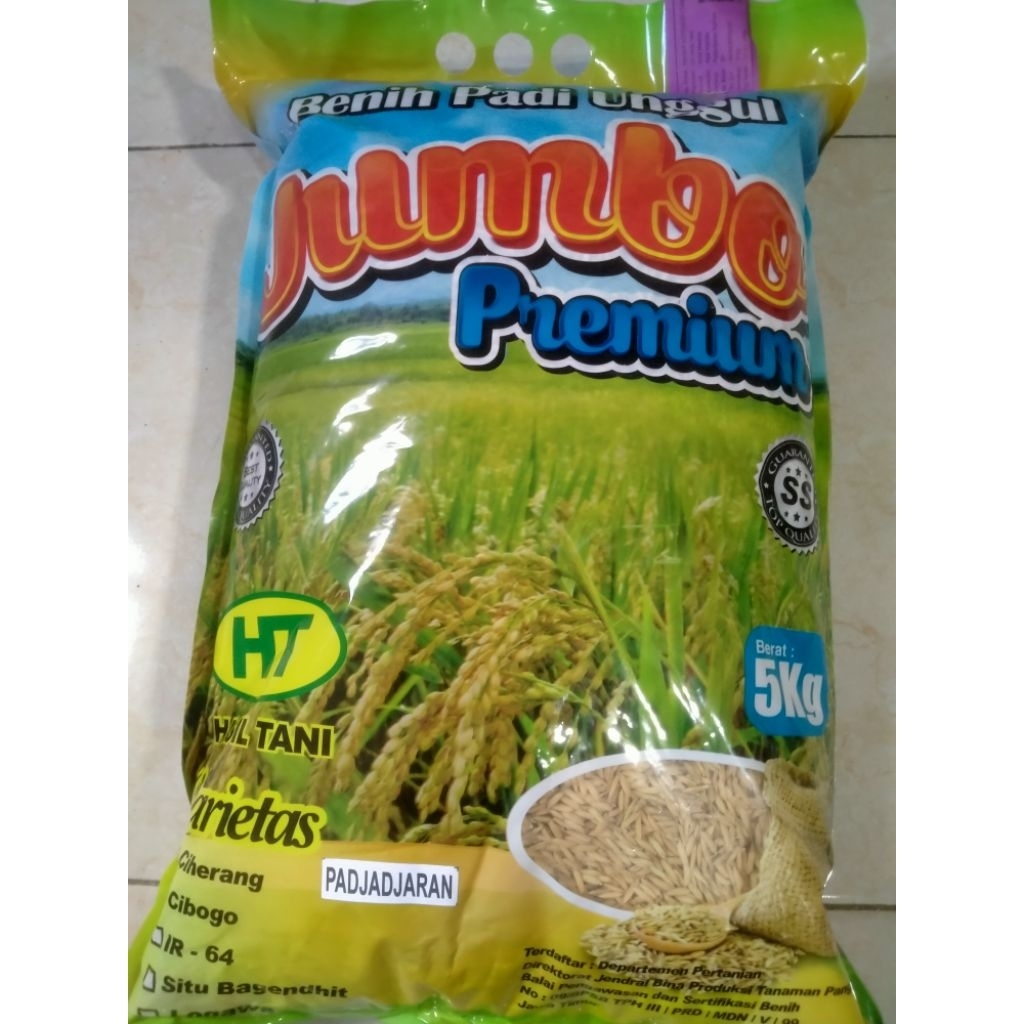 Benih Padi Inpari 32 Jumbo benih padi unggulan, berkualitas dan bersertifikat