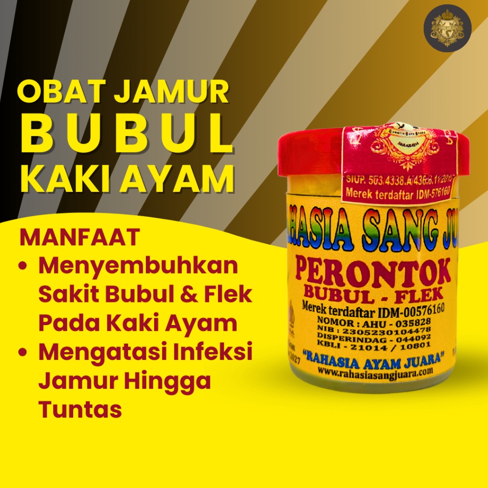 KODE R88P OBAT BUBUL AYAM BANGKOK ADUAN AMPUH MENYEMBUHKAN BUBULAN PADA KAKI AYAM BANGKOK