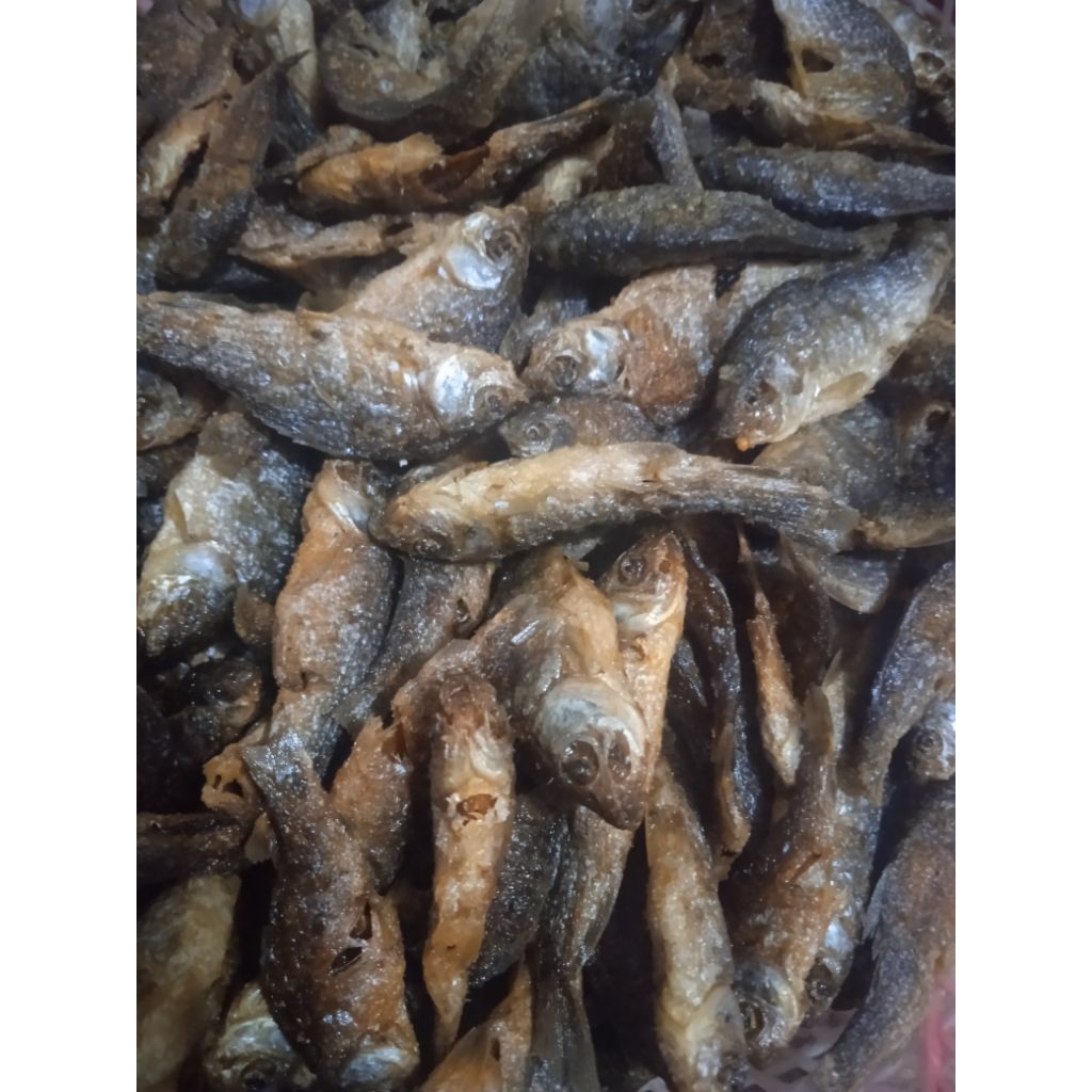 

babyfish nilem Singaparna tasik