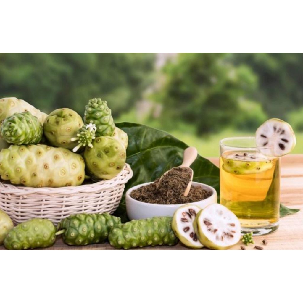 

Buah mengkudu segar