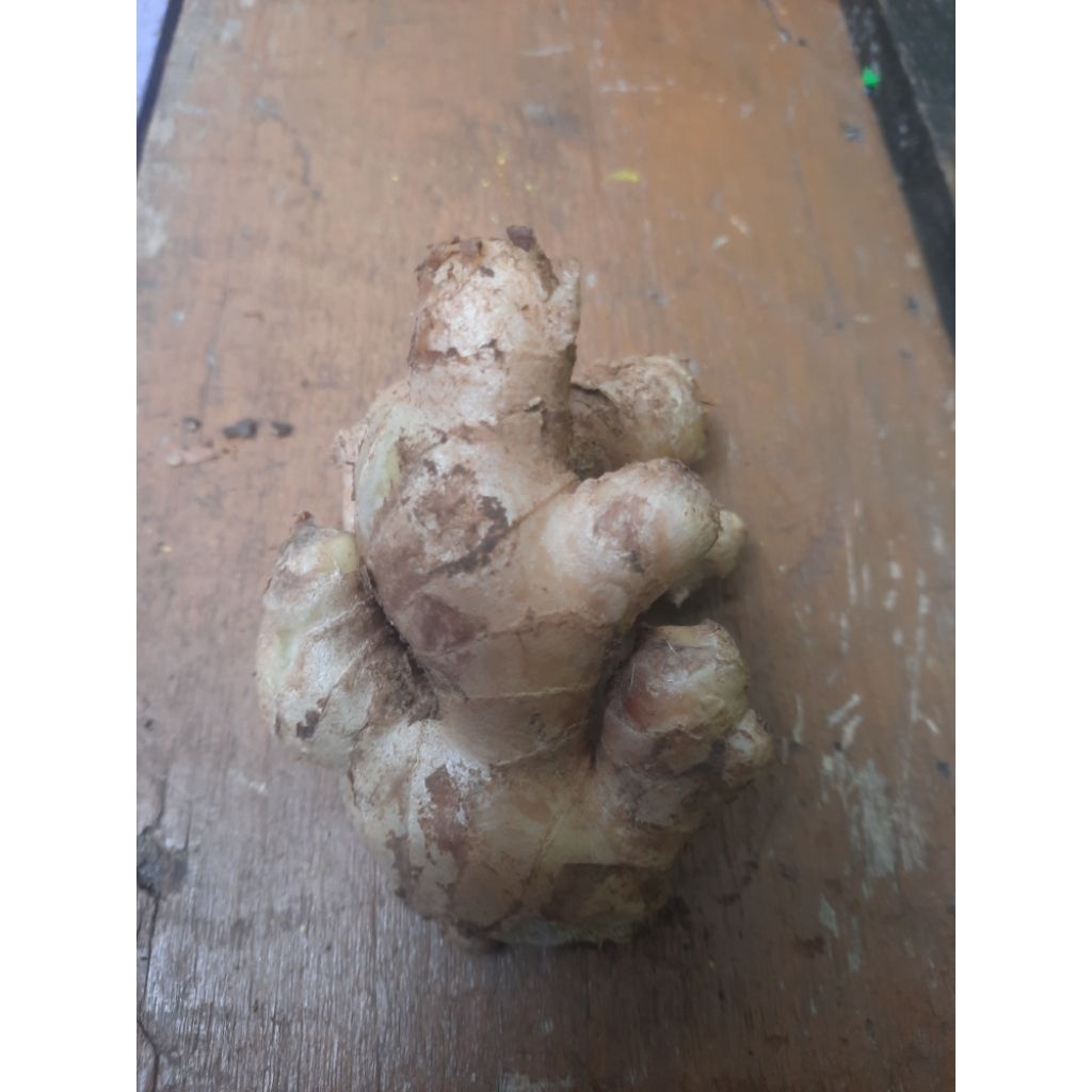 

jahe gajah 1kg