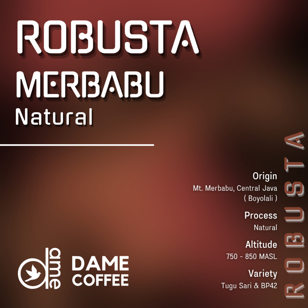 

Robusta Merbabu Natural Greenbean Kopi Mentah Dame Coffee