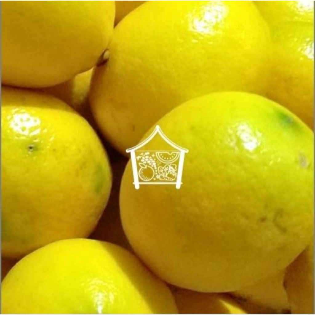 

Lemon 500 Gram Pilihan Hemat