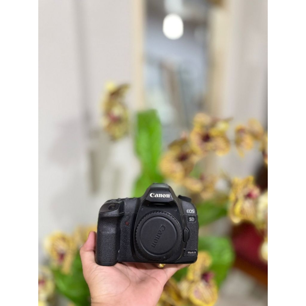 canon 5d mark 2 bukan canon 5d mark 3 bukan canon 5d mark 4