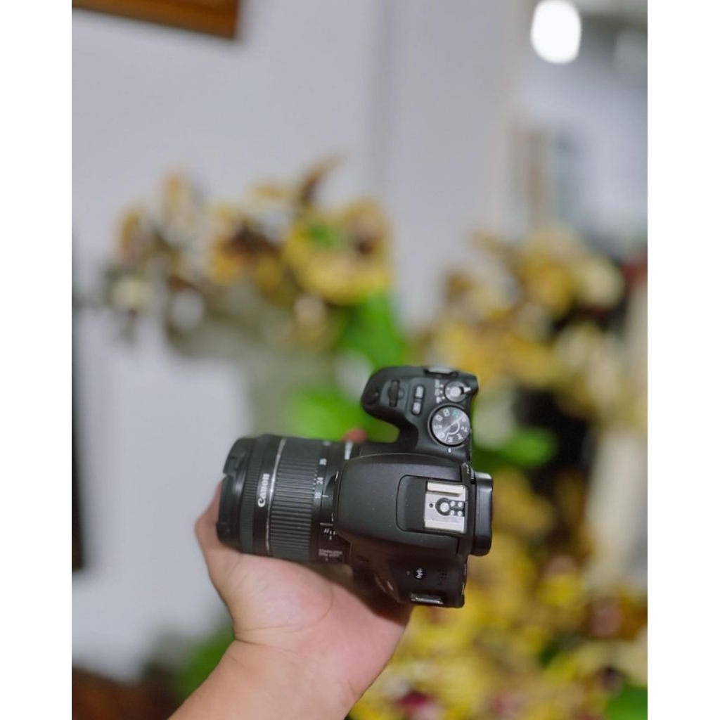 canon 200d bukan canon 1300d bukan canon 5d3 bukan canon 6d