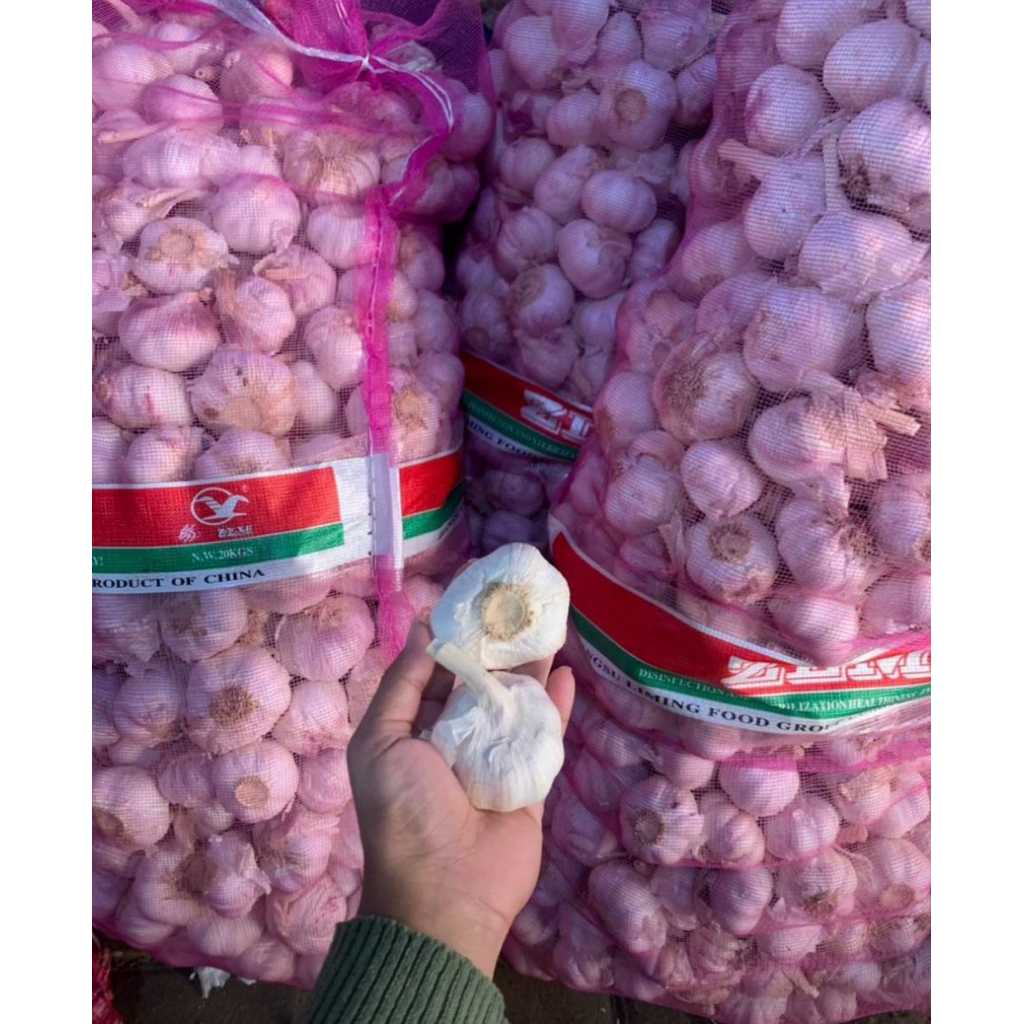 

Bawang putih