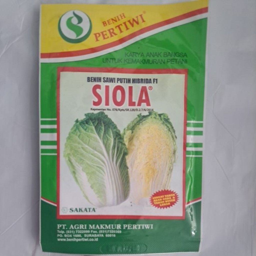BENIH SAWI PUTIH SIOLA HIBRIDA F1