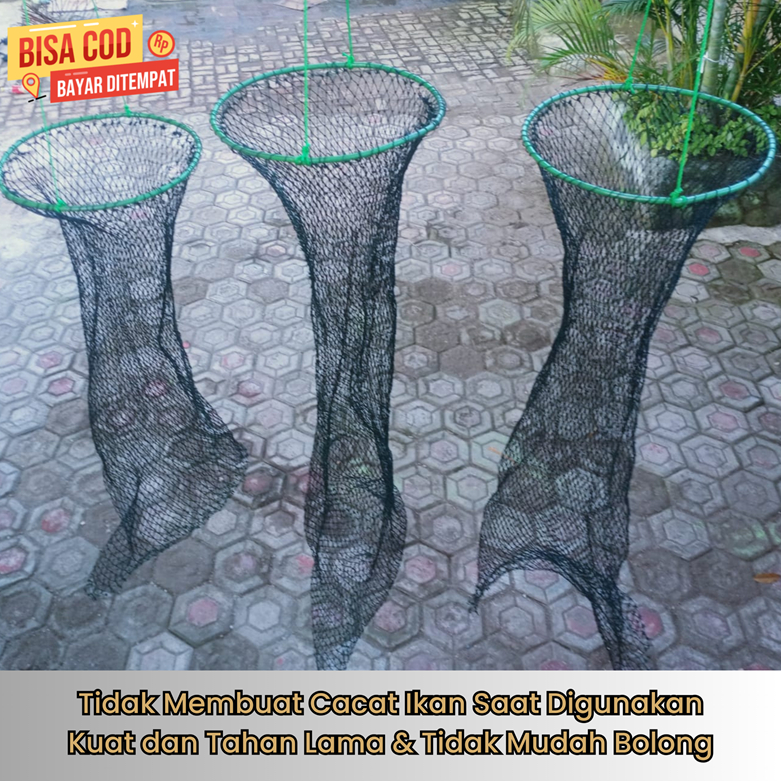 Koja Korang Tempat Wadah Ikan