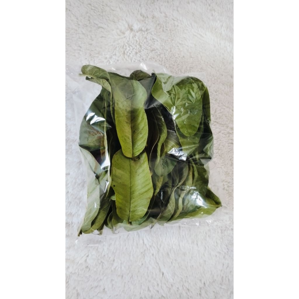 

Daun Jambu Biji Segar/Fresh 100 gram