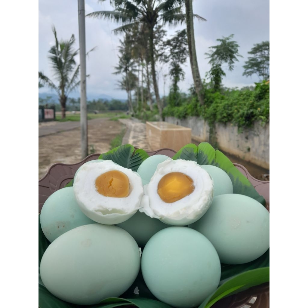 

10 TELUR ASIN ASLI BREBES MASIR DAN BERMINYAK ASLI BREBES GURIH NAGIH