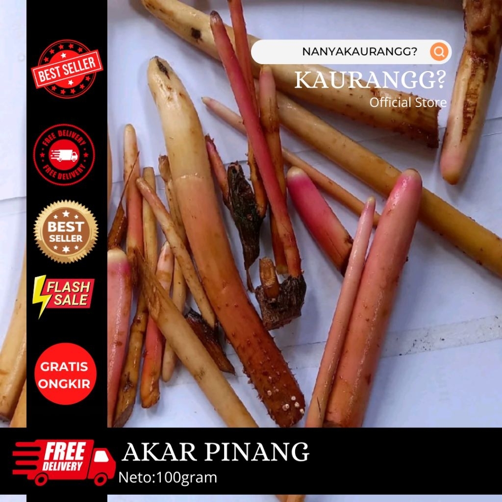 

AKAR PINANG SEGAR FRESH 100GRAM