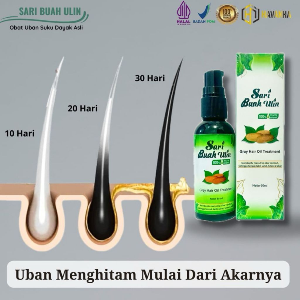 havanha sari buah ulin penghilang uban penghitam rambut permanen halal tanpa semir obat minyak