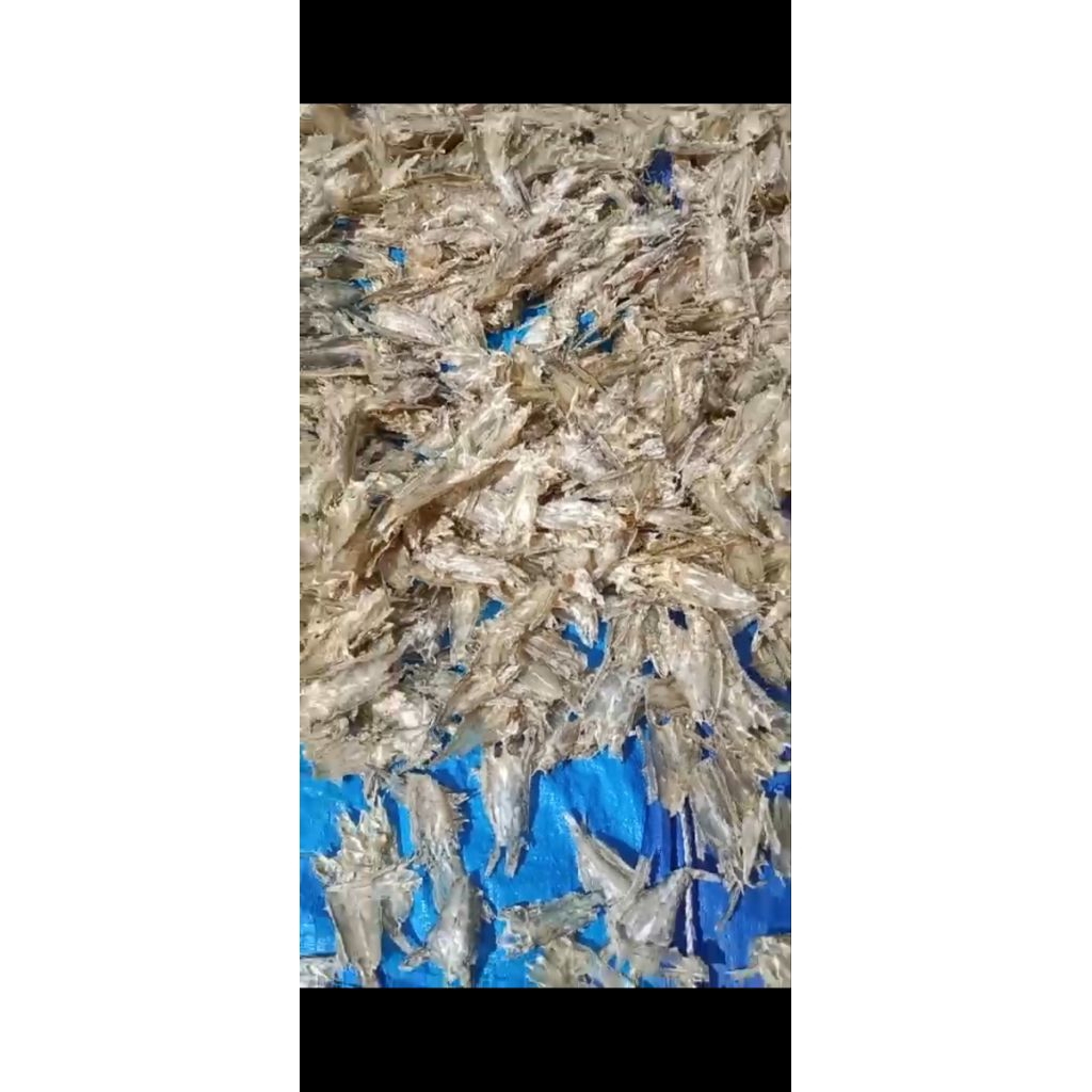 

ikan kering kriuk DT (Danau Tempe)