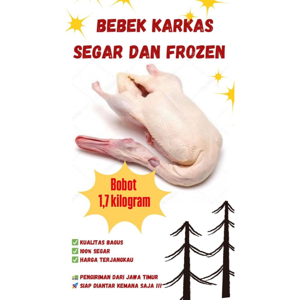 

BEBEK FROZEN, BEBEK HIBRIDA MUDA BOBOT 1,7KG BERSIH. FREE HATI, DAN AMPELA