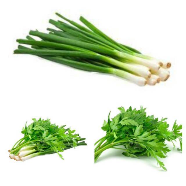 

Daun Bawang & Seledri Segar Bersih 100gr 250 gram 500g 1KG Berkualitas Palembang Bisa Request