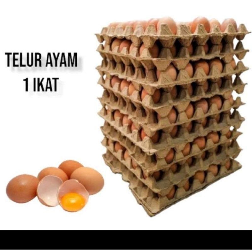 

Telur Ayah 1 ikat kualitas premium 15 kg