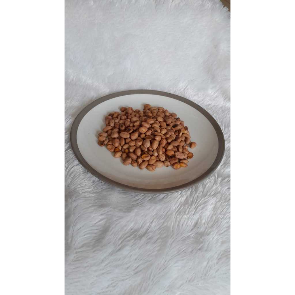 

Kacang Bogares khas Tegal Laka-laka