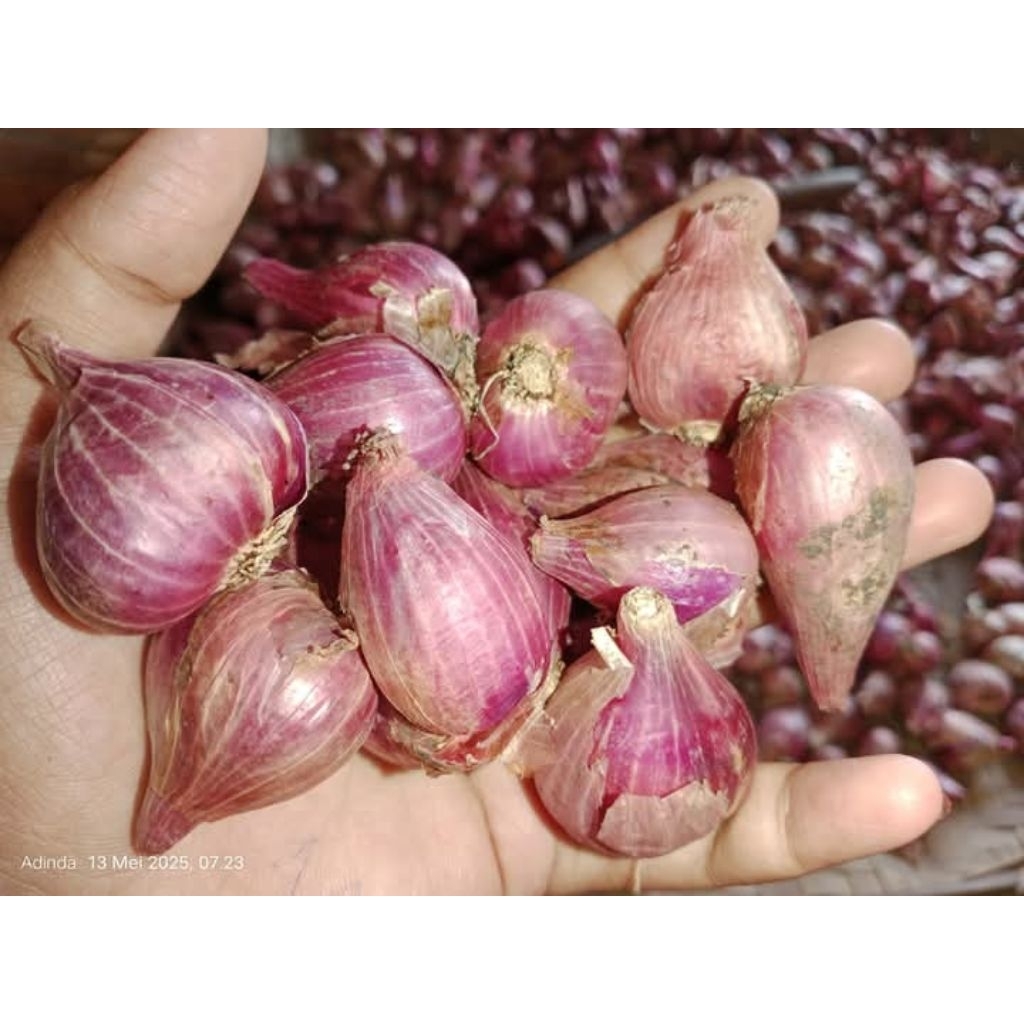 

Bawang merah(bamer)nganjuk Fres kering