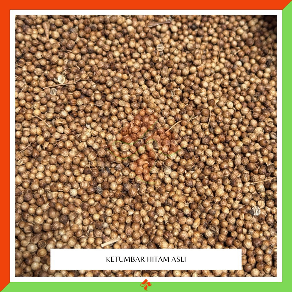 

KAKARA - Ketumbar Hitam / Ketumbar Coklat / Coriander / Ketumbar Original Ketumbar asli 100% bukan cucian Ketumbar grosir kiloan