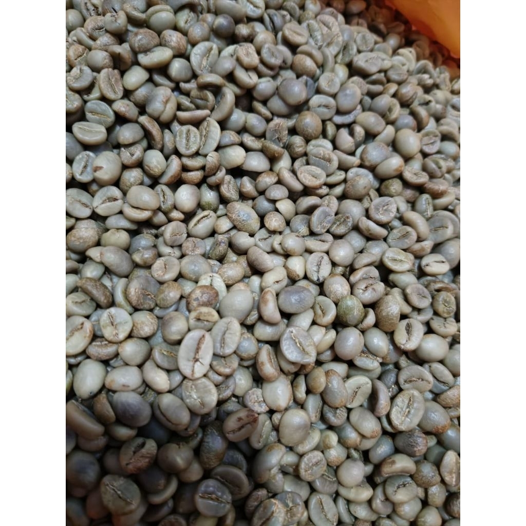 

biji kopi ROBUSTA grade A mentah 1kg