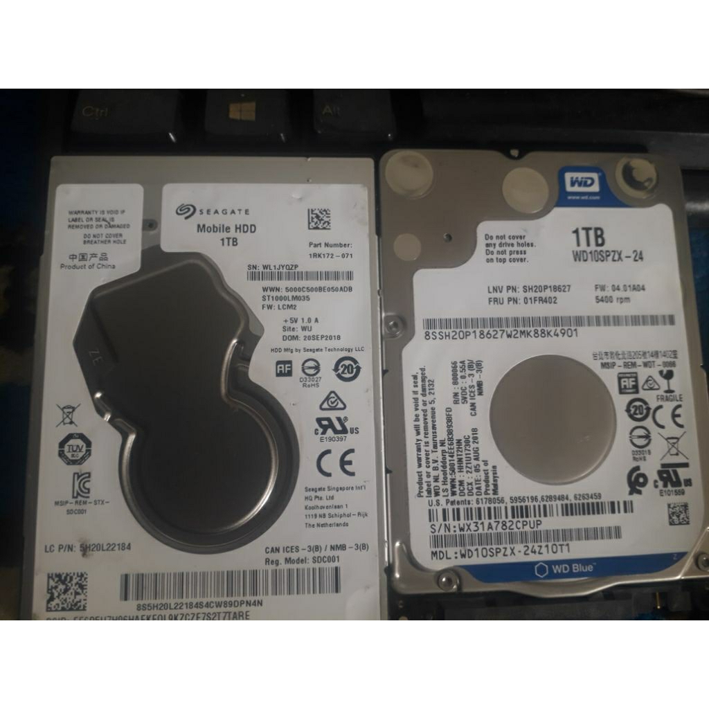 HARDISK LEPTOP 1TB SANTINAL rendah
