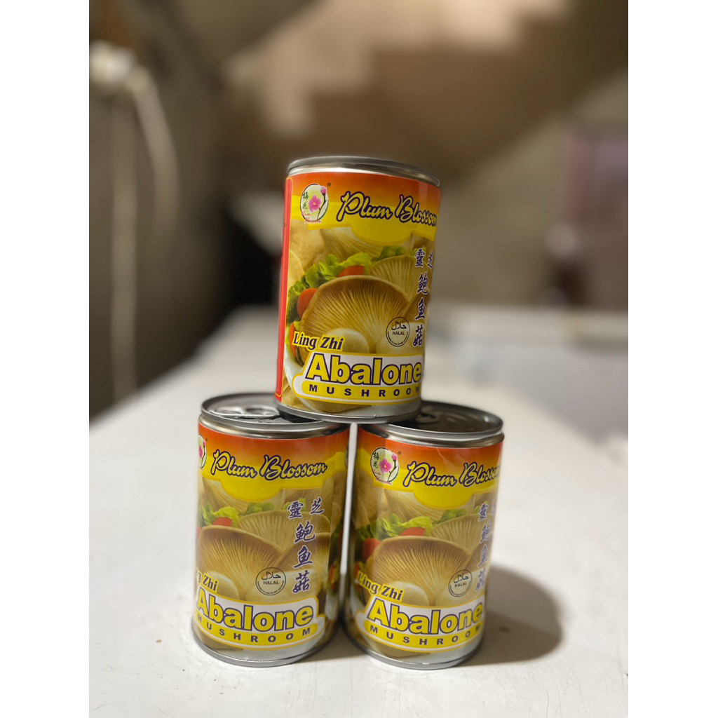 

LING ZHI(abalone mushroom) plum blossom