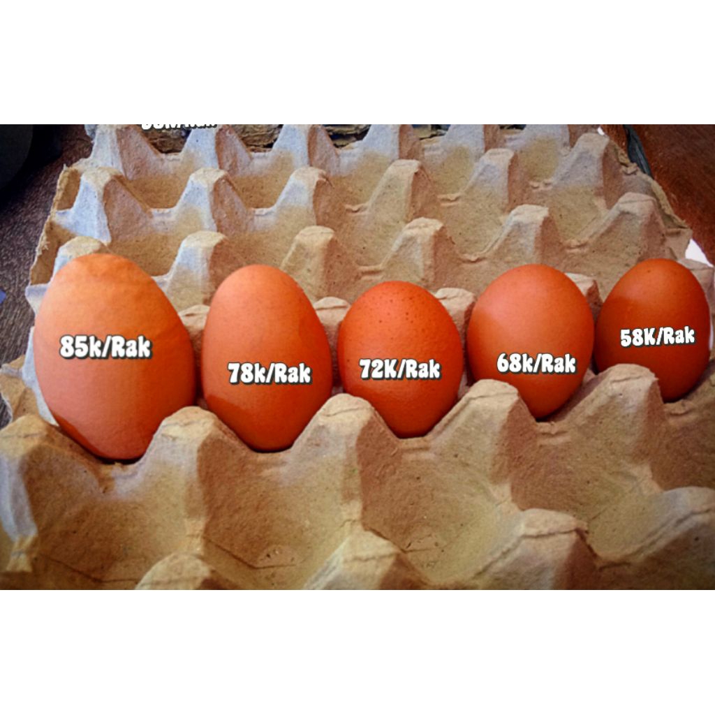 

Telur Ayam LokalJayapura