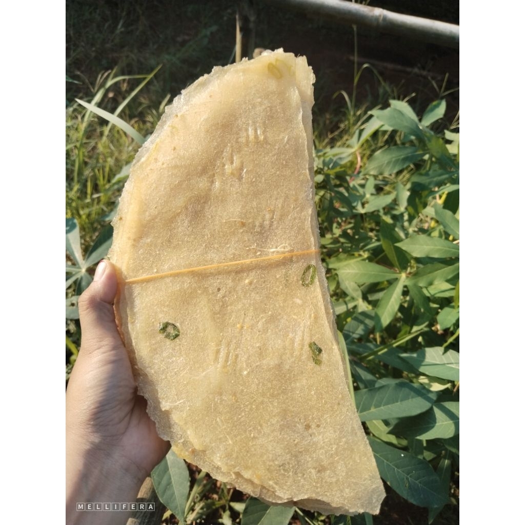 

opak enye / kecimpring / opak singkong mentah