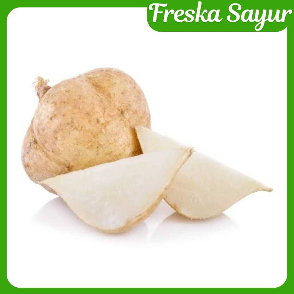 

Bengkoang 1 kg I Bengkuang I Manis, Renyah & Cocok Untuk Rujak & Salad