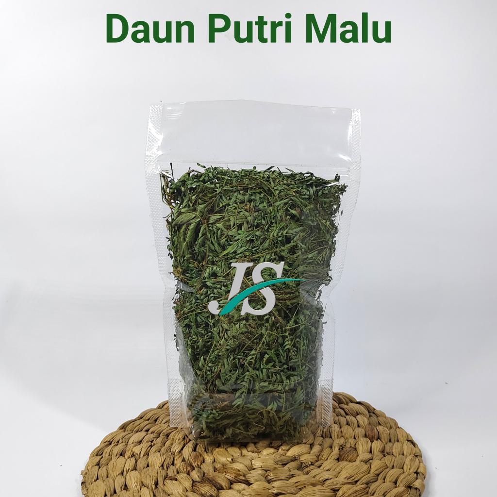 

Daun Putri Malu Kering 50 Gram Jukut riut