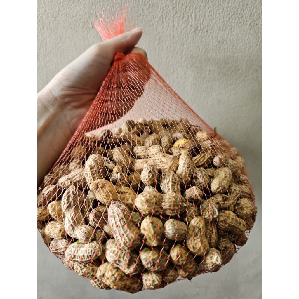 

Kacang Tanah Organik dengan Kulit || 0.5kg || Peanuts Organic