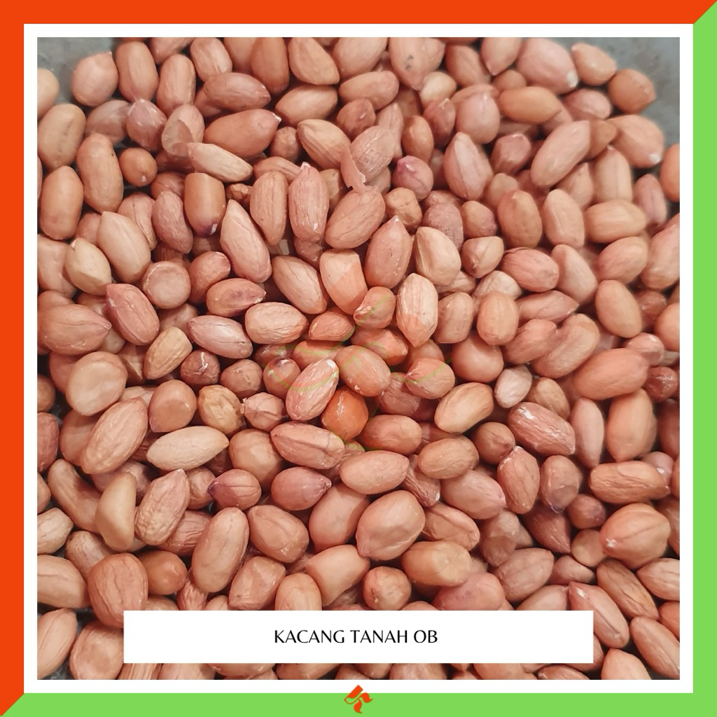 

KAKARA - Kacang tanah impor OB grosir kiloan